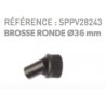 Brosse ronde ø 36mm